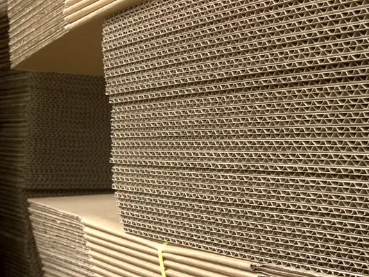 Plastikschale Zwei transparente, stapelbare Kunststoffbehälter im rechteckigen Format.